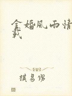 金婚风雨情 下载