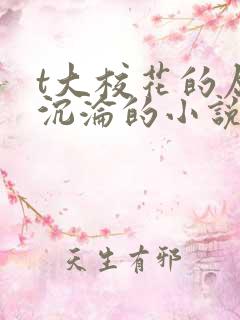 t大校花的屈辱沉沦的小说