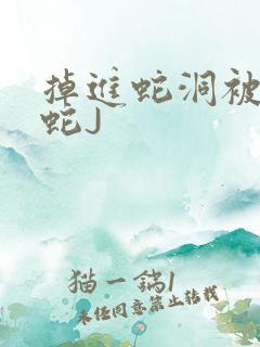 掉进蛇洞被一堆蛇J