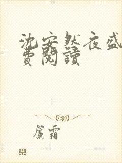 沈安然夜盛霆免费阅读