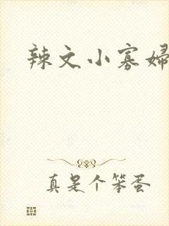 辣文小寡妇