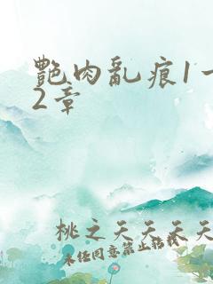 艳肉乱痕1一12章