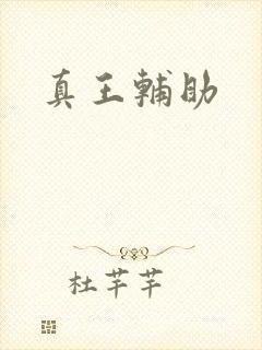 真王辅助