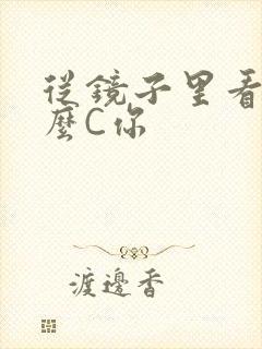 从镜子里看我怎么C你