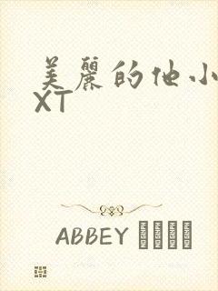 美丽的他小说TXT