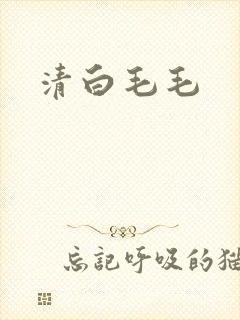 清白毛毛