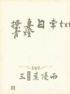 撩妻日常txt青灯