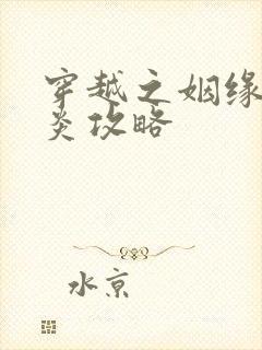 穿越之姻缘劫萧炎攻略