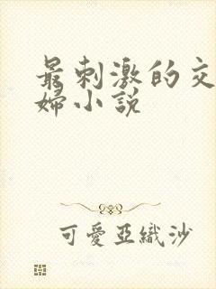 最刺激的交换夫妇小说