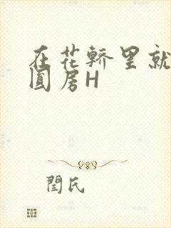 在花轿里就开始圆房H