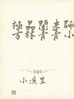 极品开光师李南方林青青小说免费阅读