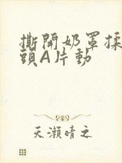 撕开奶罩揉吮奶头A片动