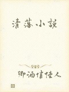 清落小说