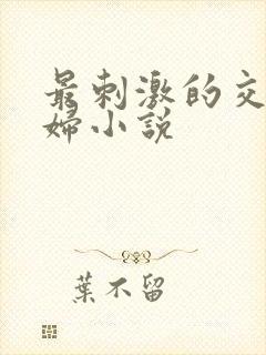 最刺激的交换夫妇小说