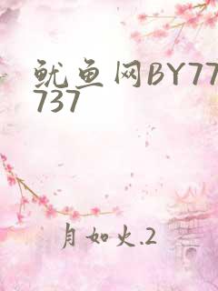 鱿鱼网BY77737