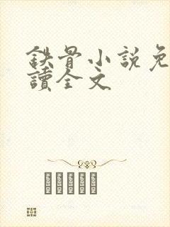 铁骨小说免费阅读全文