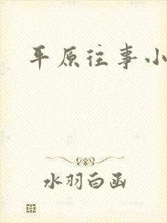 平原往事小说