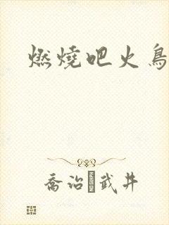 燃烧吧火鸟小说