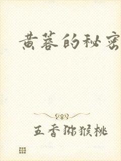 黄蓉的秘密