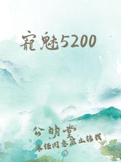宠魅5200