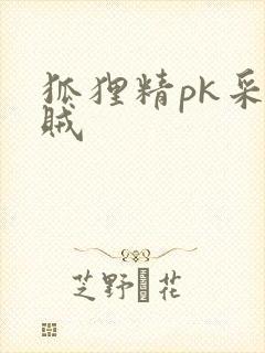 狐狸精pk采花贼