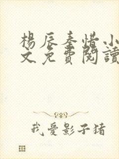 杨辰秦惜小说全文免费阅读最新