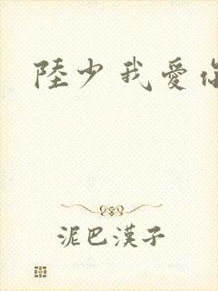 陆少 我爱你