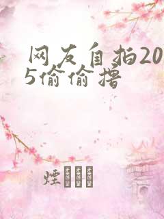 网友自拍2015偷偷撸