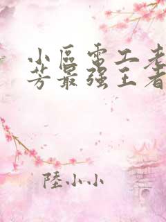 小区电工老周刘芳最强王者