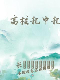 高校龙中龙全集