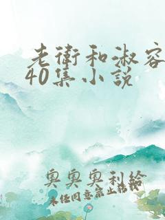 老卫和淑容1-40集小说