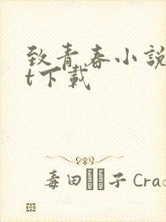 致青春小说txt下载