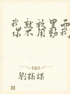 我就放里面不动你不用动我动