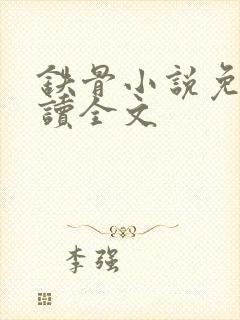铁骨小说免费阅读全文