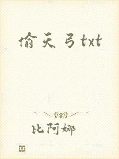 偷天弓txt
