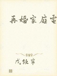 再婚家庭电视剧