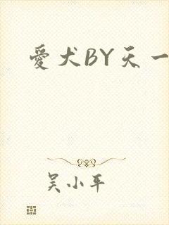 爱犬BY天一