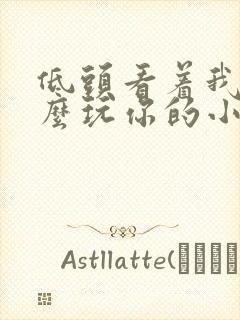 低头看着我是怎么玩你的小说