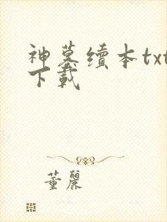 神墓续本txt下载