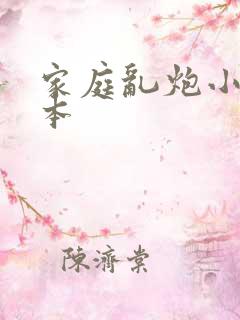 家庭乱炮小说全本