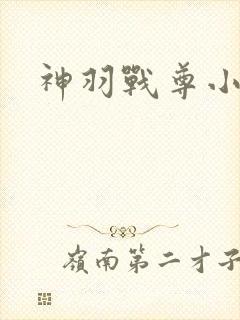 神羽战尊小说