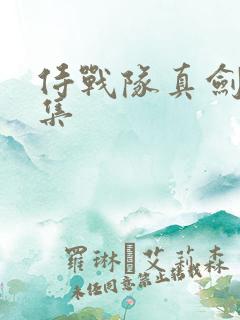 侍战队真剑者全集