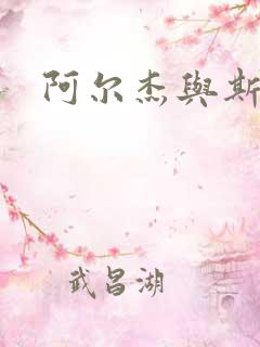 阿尔杰与斯内普