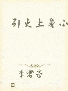 引火上身小说