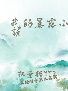 我的暴露小说小说
