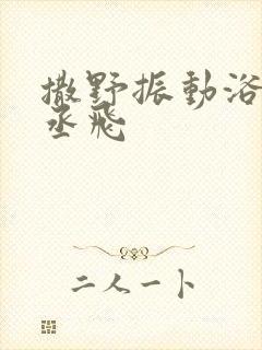 撒野振动浴缸车丞飞