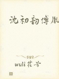 沈初韵傅胤小说