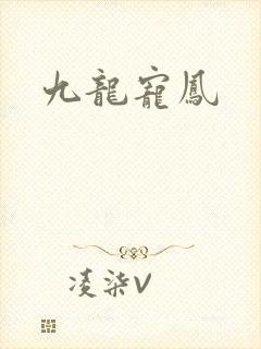 九龙宠凤