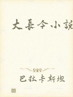 大长今小说下载