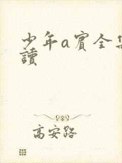 少年a宾全集阅读